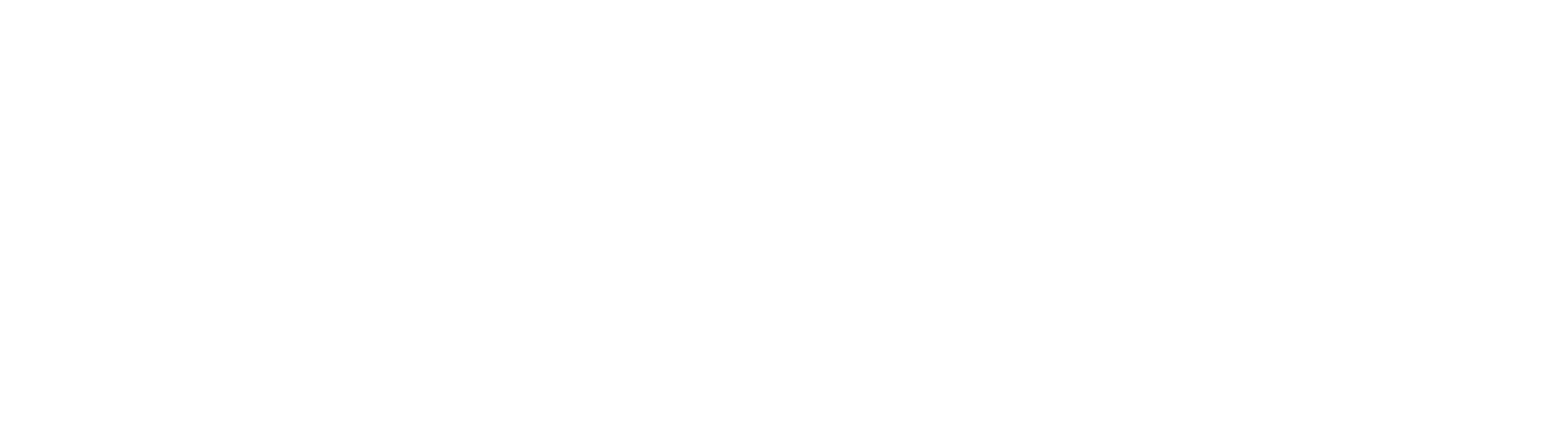 footer-logo